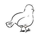 鳥のイラスト