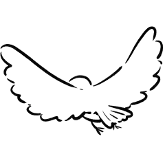 鳥のイラスト