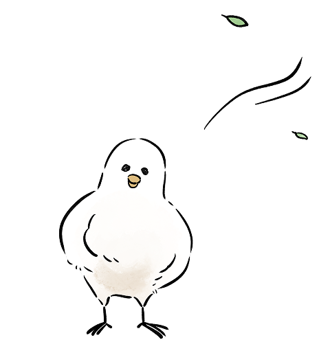 鳥