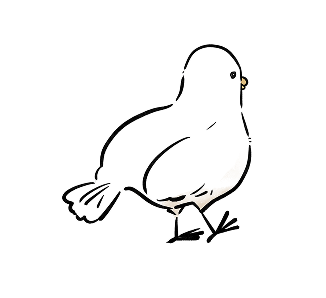 鳥