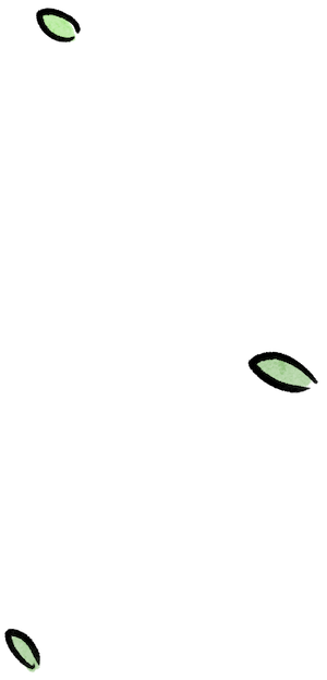 葉っぱ